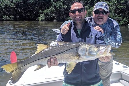4 hour Fishing Charter with a Tampa Native