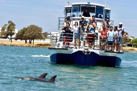Mandurah Dolphin Cruise and Views