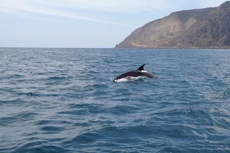 Journey to Frog Rock