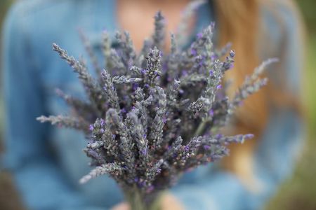 Maui Tour : Iao Valley, Hawaiian Distillery and Lavender Farm Tour