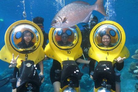Scuba Doo Diving Experience in Punta Cana