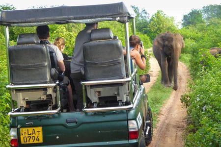 Safari at Udawalawe National Park