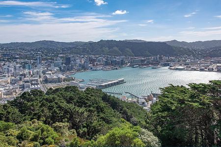 Scenic Wellington Helicopter Flight