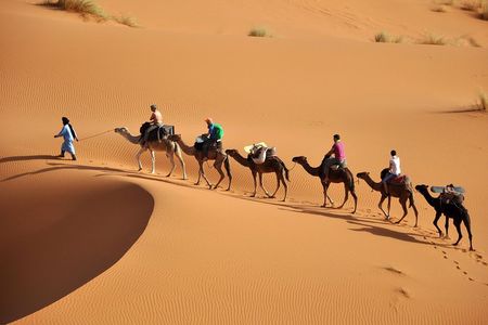  7 Night Sahara Caravan Road 