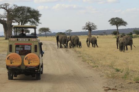 8 Days 7 Nights Private Lodge Safari
