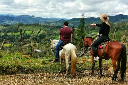 Horseback Riding in Medellin Private Tour: Great Views & Horses 