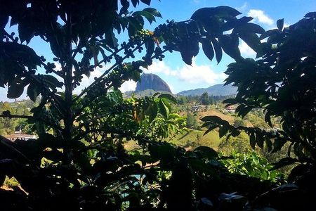 Guatape Rock & Coffee Tour & Picturesque Town: Private Tour