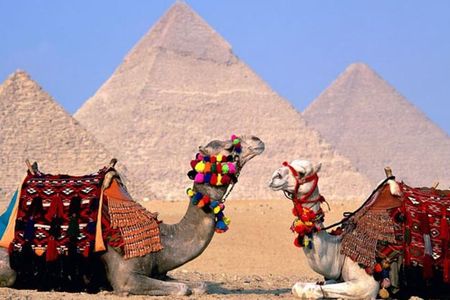 Private Tour: 8 Days 7 Nights Great Pyramids & Nile Cruise by Train from Cairo
