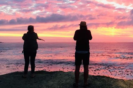 Cape Town Peninsula Day Tour ( Cape Point/Boulders/Wine Tasting)