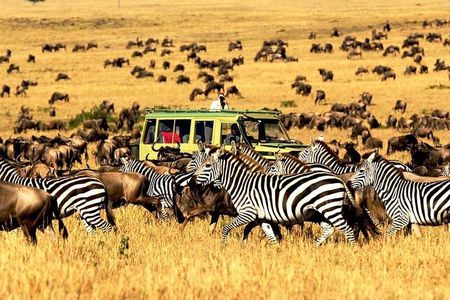 5 Day Mid-range Safari Serengeti, Ngorongoro Crater and Tarangire National Park