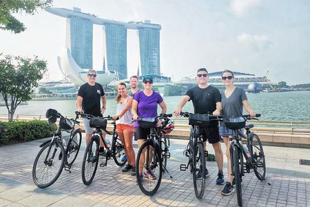 Historical Singapore Bike Small Group Tour on Full-Sized Bicycles