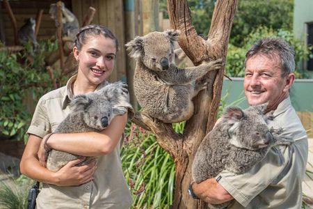 Wildlife, Wine & Waves – Epic South Coast Adventure from Sydney
