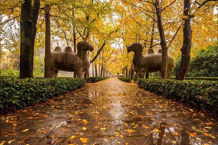Nanjing Day Tour from Shanghai by Bullet Train