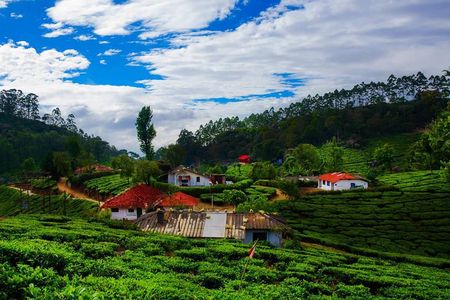 14 Days Golden Triangle tour with enchanting Kerala South India tour
