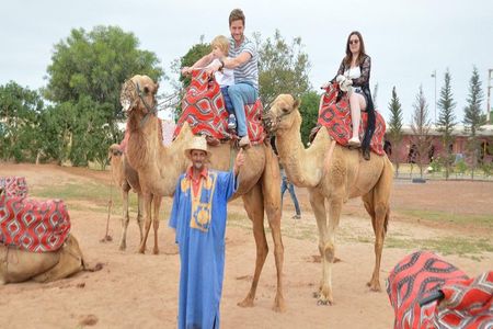 Camel riding in Agadir for Cruise ship Passengers