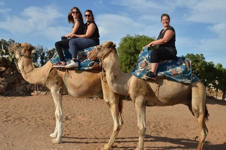 Agadir Shore Excursion: Camel Ride (Back-to-Ship Guarantee)