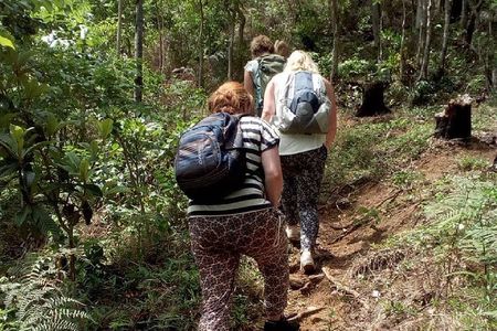 Day Trip To Lupanga Peak