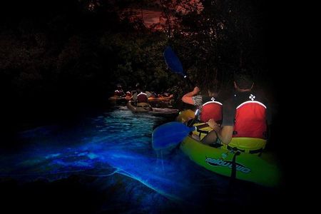 Two-in-One Day Trip: El Yunque and Bio Bay Tour with Transport 