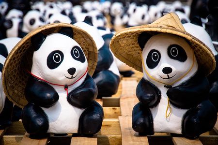 Private Day Tour: Dujiangyan Panda Base and Irrigation Project