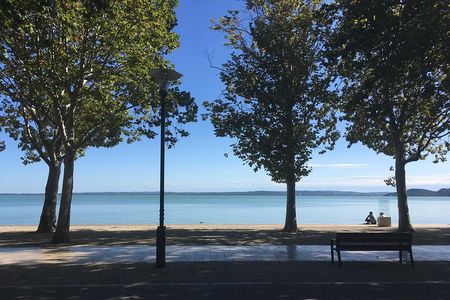 Lake Balaton and Herend Porcalain (Full-Day Private Tour)