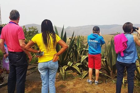 5 Days Adventure into the Clouds of Obudu Mountain Resort