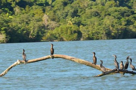 Kayak -Bird Watching Combo Tour from Puerto Quetzal