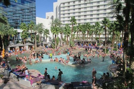 Las Vegas VIP Pool Party Tour with BYOB