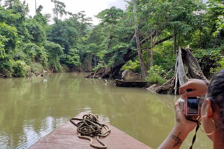 Indian River, Cold Soufriere & Fort Shirley (Northern Excursion) 