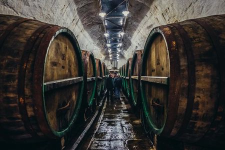 Private Tour to Pilsner Urquell from Prague