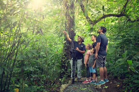 Sloth Sanctuary and Rafting class II & III Combo Tour