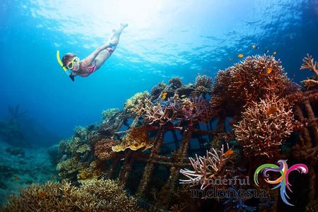 Have fun 1 day in Nusa Penida: snorkeling, kelingking & broken beach incl lunch