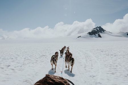 Helicopter Glacier & Dog Sledding Adventure Tour