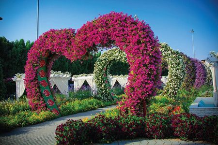 Miracle Garden: Dubai Flora and Fauna 4-Hour Tour