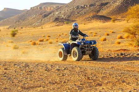 Quad and Camel ride in the palmgrove of Marrakech