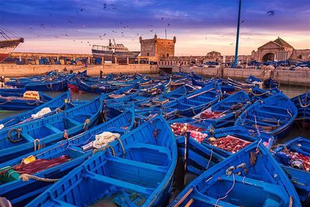 Shared group day trip from Marrakech to Essaouira mogador