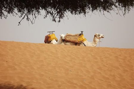 Massa 4x4 & small dunes with lunch day trip from Agadir
