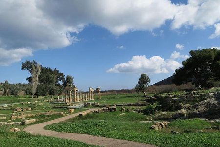Temple of Artemis-Brauron Half Day Private Tour 4 seat 