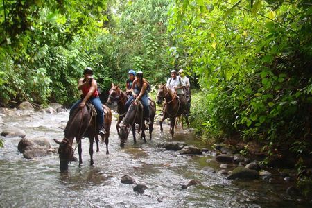 Horseback to La Fortuna Waterfall From Arenal