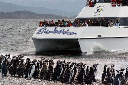 Canoero Catamarans: Isla de los Lobos, Les Eclaireurs Lighthouse and Pingüinera tour