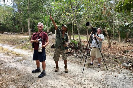 Mahahual and Costa Maya Birdwatching 