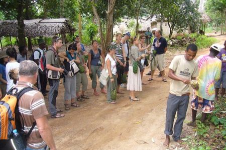  3 hours Spice Tour in Tanzania
