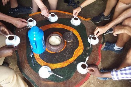 Private Materuni Waterfall & Coffee Tour. 