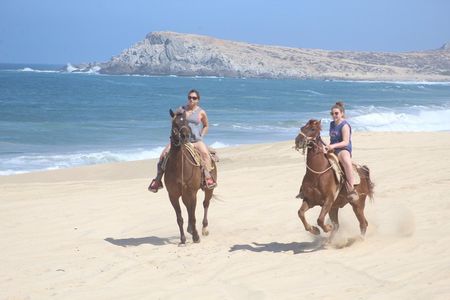 Cabo White Sand Horseback Riding Tour and Tequila Tasting 