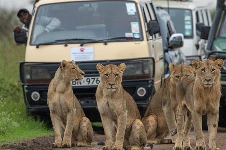 3 Days 2 Nights Masai Mara Joining Safari From Nairobi