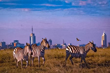 Nairobi National Park Safari–Adventure at City’s Edge Free PickUp
