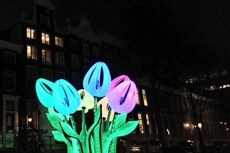 Light Festival Tour by Sebi Boat Tours