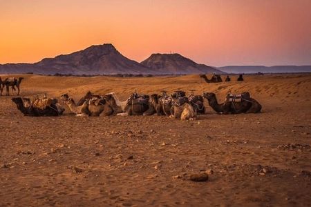 2 Days 1 Night Amazing Zagora Desert Tour From Marrakech
