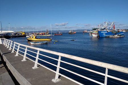 Tour around the Port of Talcahuano