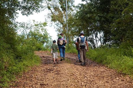 Birding Hike: Day Birdwatching in Kathmandu