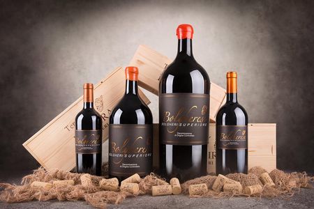 The selections - visit with Bolgheri wine tasting
